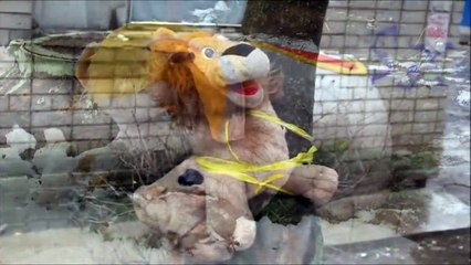 Ведмежуть - Гномик Яша и его друзья - Gnom Yasha and his happy friends - Bear Horror