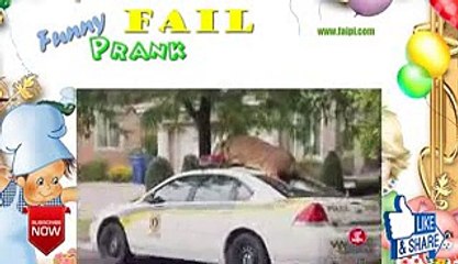 Funny Cop Turns Plastic Deer Hunter 5rsxWpW9YDY