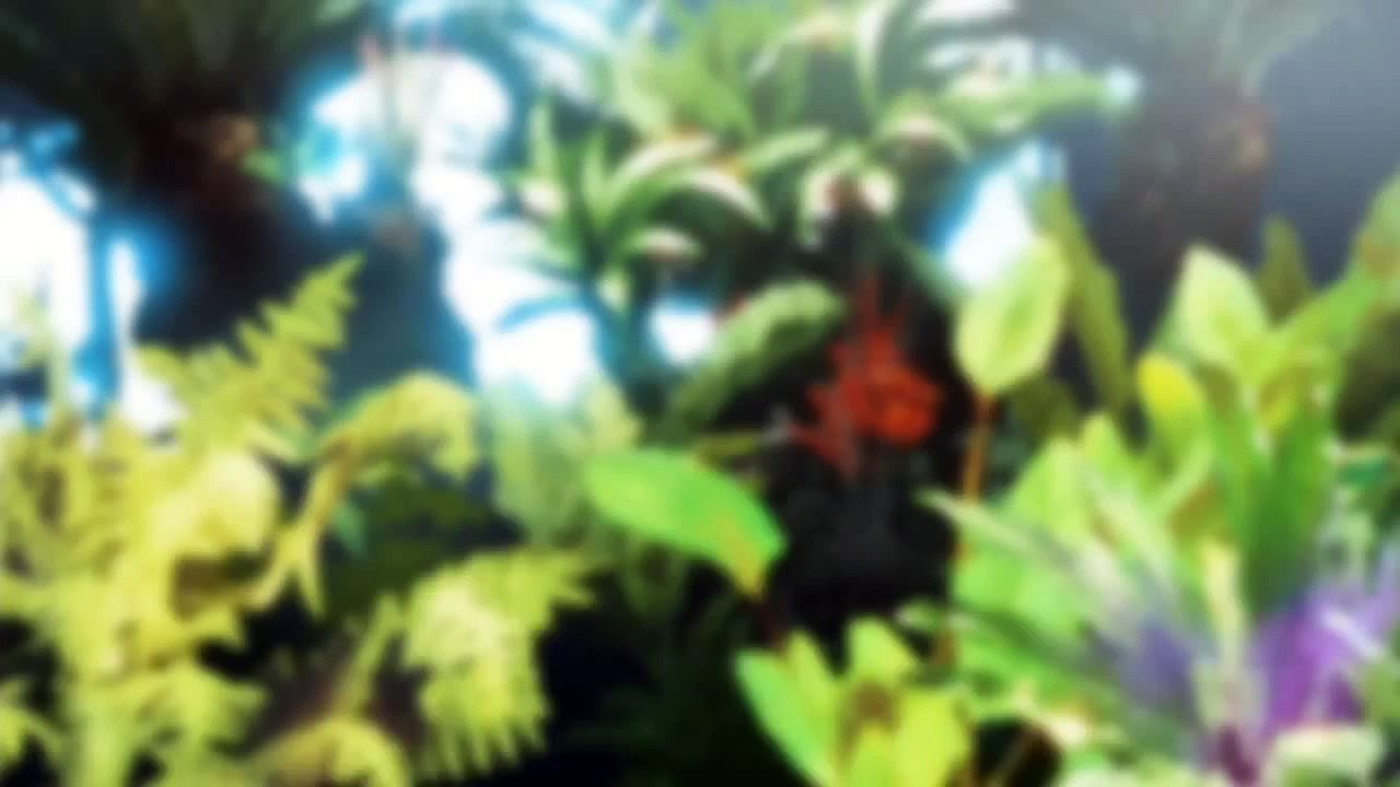 放課後のプレアデス　第1夜