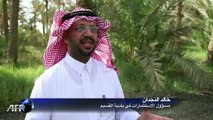 مهرجان التمور في السعودية الاكبر في العالم