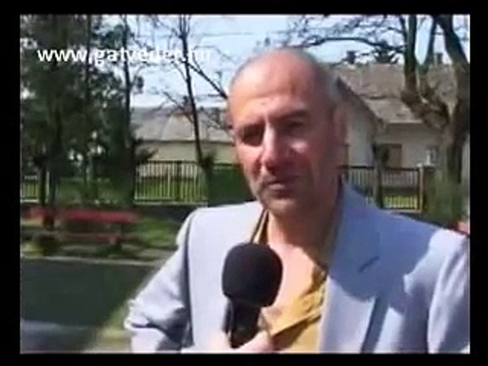 Pártvéder 2.