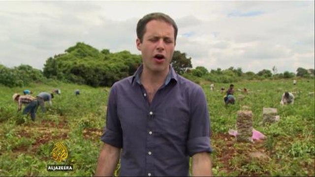 Mexico's child farm workers at risk of exploitation