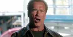 Arnold Schwarzenegger Looks For A Real Estate In Austria. But There's One Problem