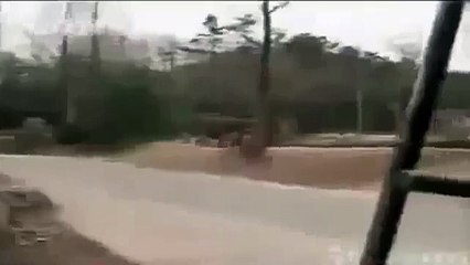 Animal duel,lion vs tiger,Lion Amazing Attack a Tiger documentary