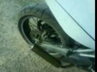 bruit du pot pro race