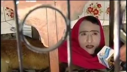 Human Head with Animal Body