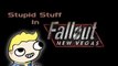 Stupid Stuff In Fallout New Vegas #1