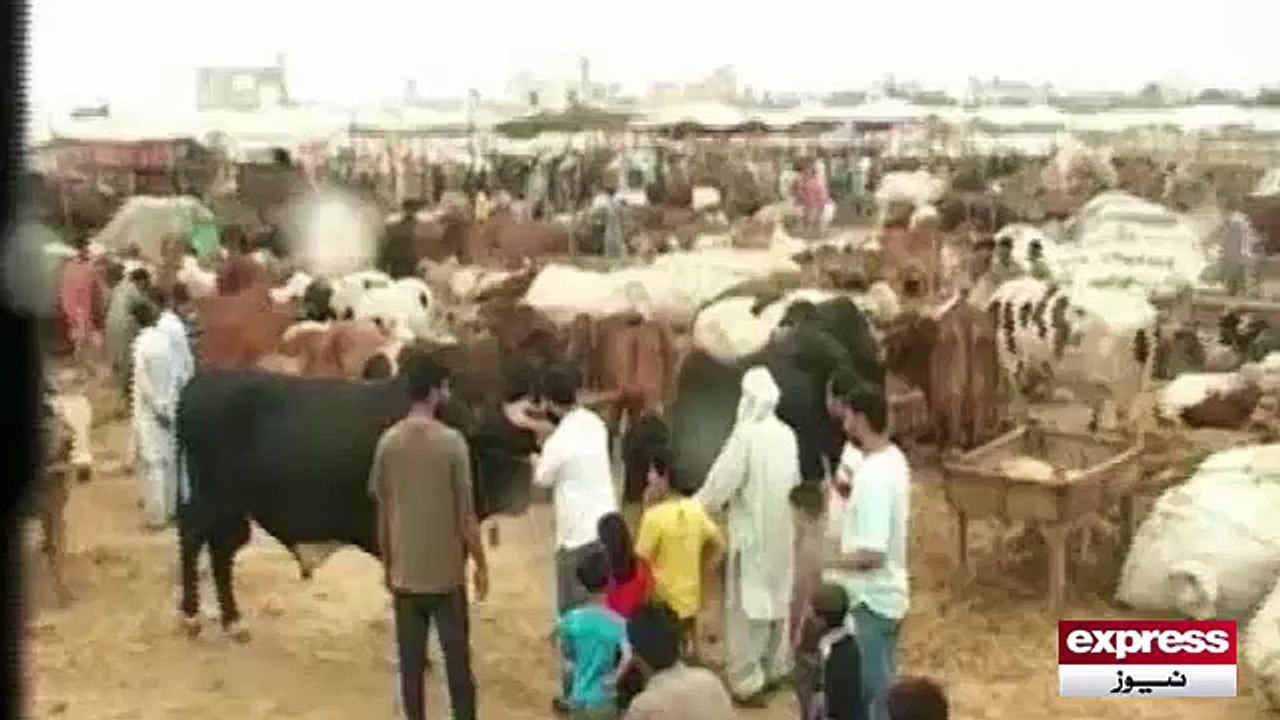 Maweshi Mandi 2015