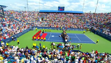 فيدرر يقهر دجوكوفيتش ويتوج بلقب سينسيناتي