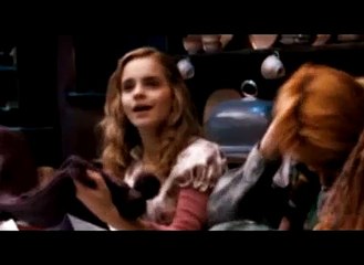 Harry/Hermione - Love Song Requiem