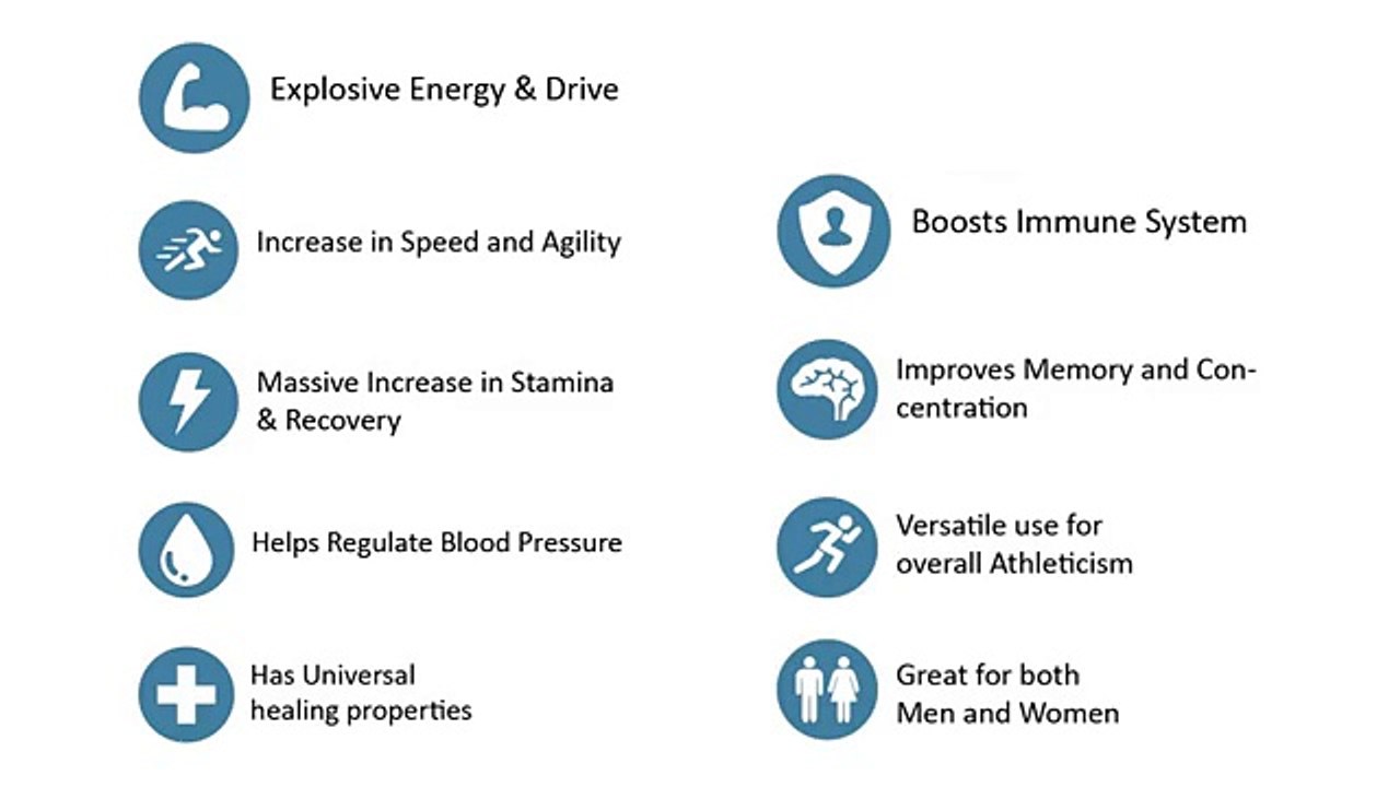 Natural Energy Supplement | Revabol-1 Energy Enhancer