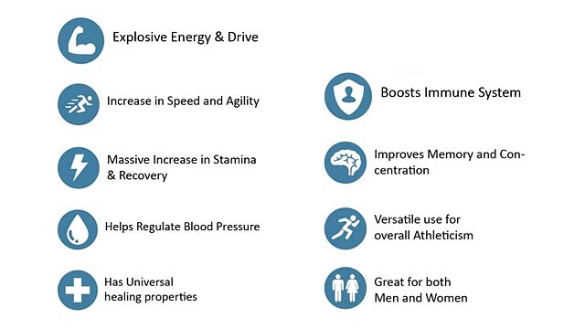 Natural Energy Supplement | Revabol-1 Energy Enhancer