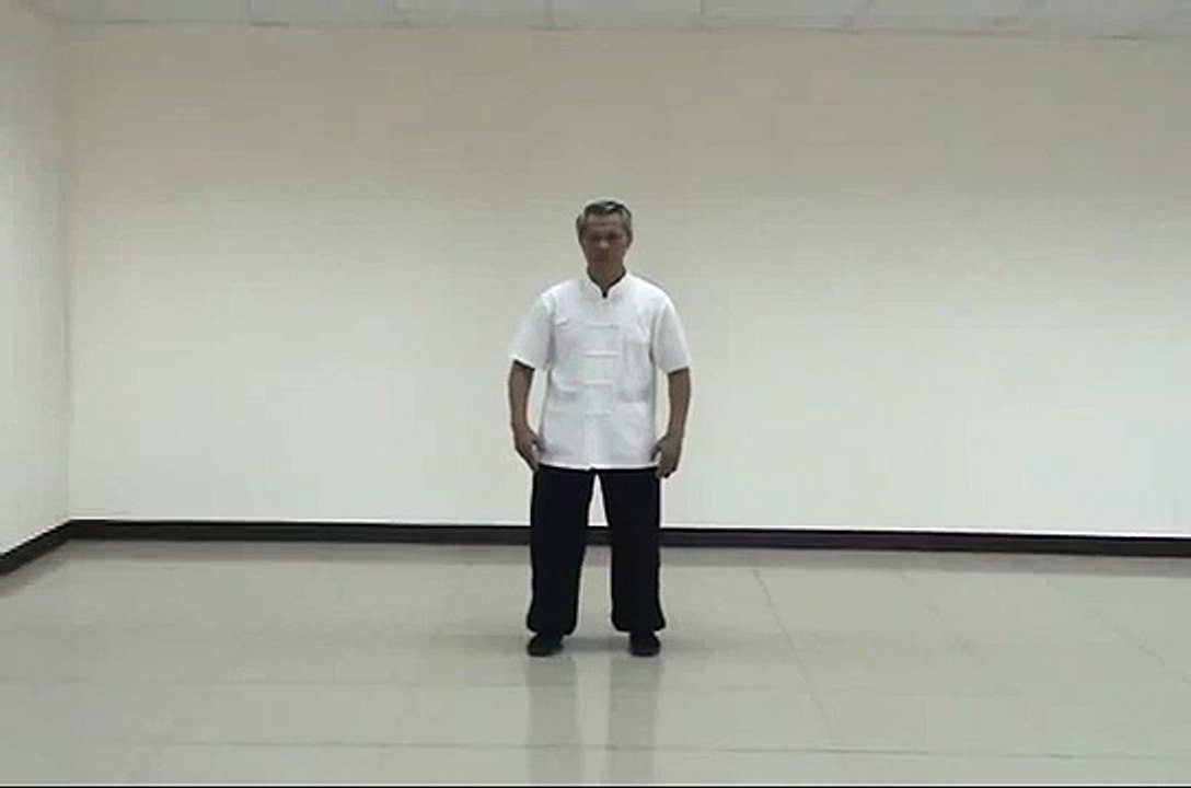 林冠澄老師示範陰陽相濟太極拳(勁)-太極13式拳架套路(快架).flv