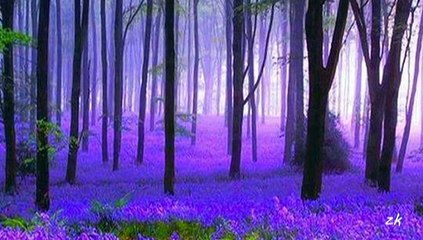 gripin - sen gidiyorsun