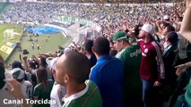 MANCHA VERDE - Palmeiras 4x0 São Paulo 28/06/2015