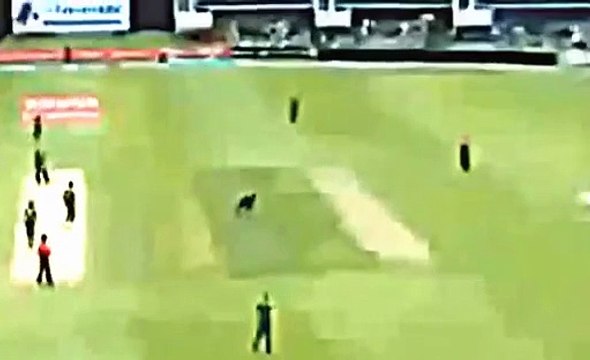 Anwar Ali Blasting Batting against Sri Lanka in 2nd T20I- Pak Win T20 series 2-0