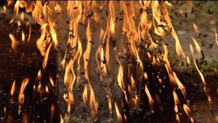 Slow Motion : 6000 allumettes s'embrasent en même temps