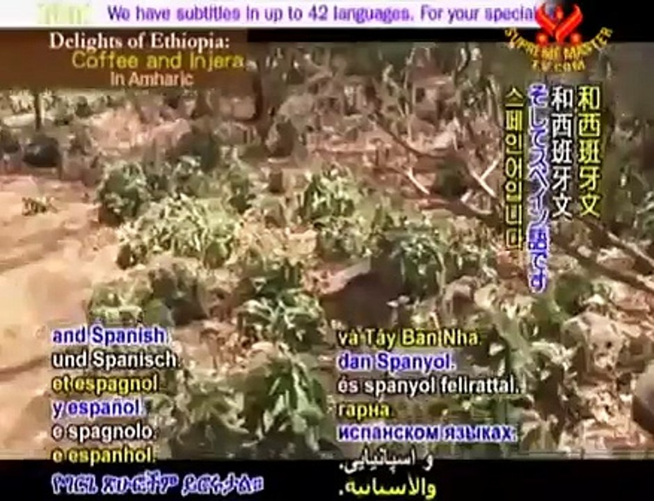 Delights of Ethiopia-Coffee and Injera