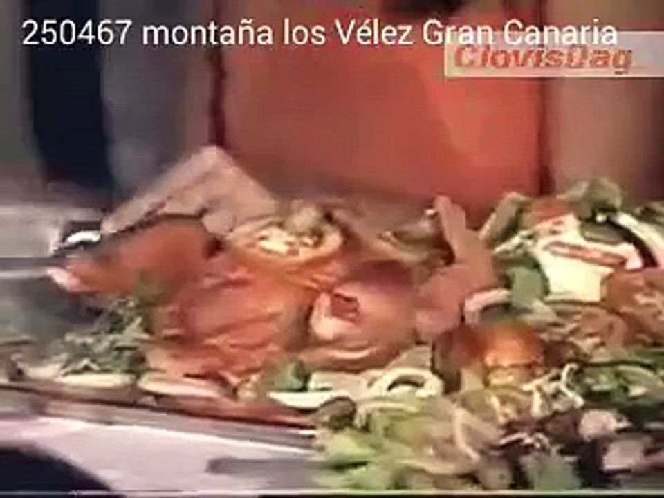 remote control chiken