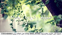 شيلة : دروب الغرام - أداء : فالح العريدي و محمد الدسيمي | أصلي + مسرع | #شيلات #صوتيات