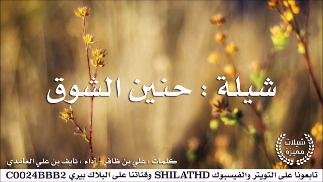 شيلة : حنين الشوق - أداء : نايف بن علي الغامدي | أصلي + مسرع | #شيلات #صوتيات