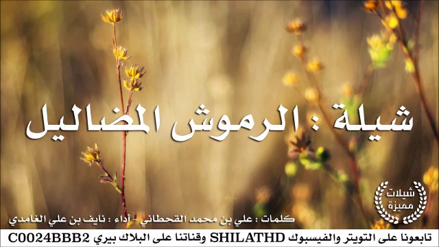 شيلة : الرموش المضاليل - أداء : نايف بن علي الغامدي | أصلي + مسرع | #شيلات #صوتيات