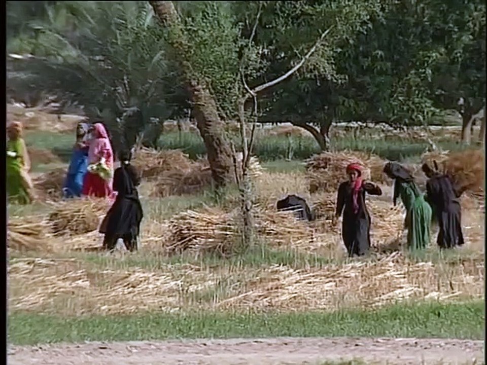Shabbir Ibne Adil, PTV, News Report: Guddu barrage in 2001