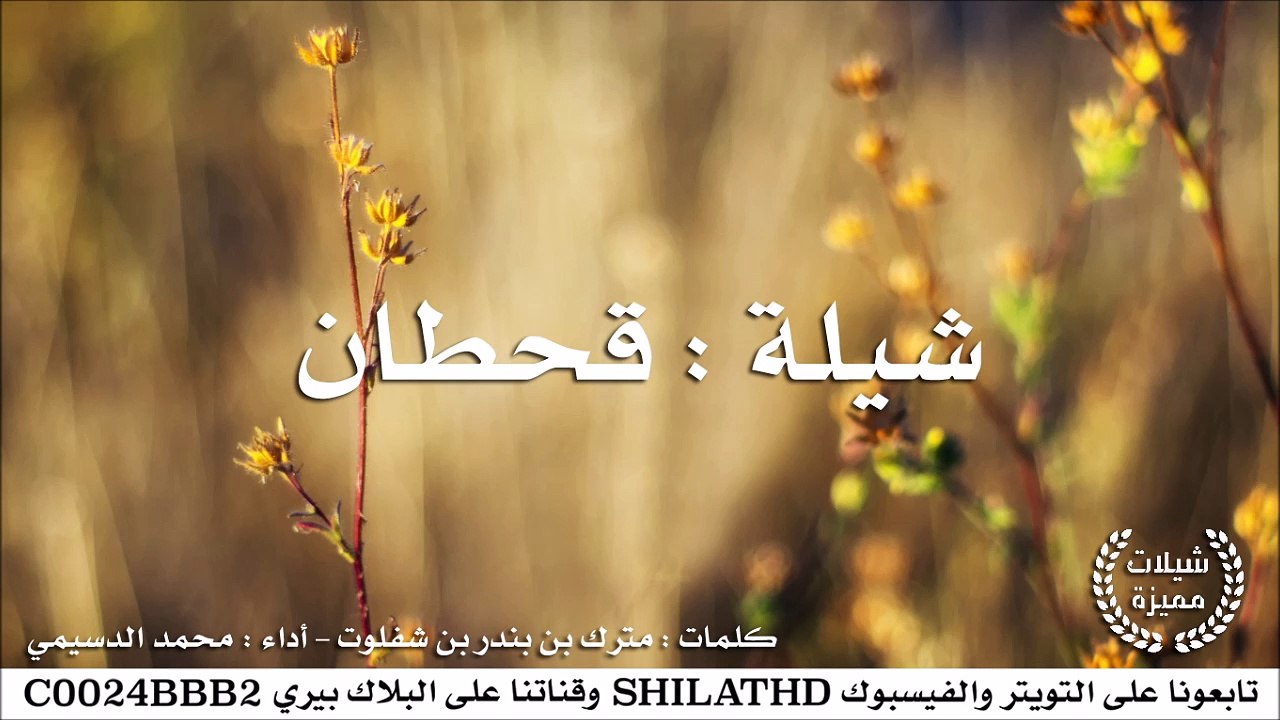 أقوى شيلة في قحطان - أداء : محمد الدسيمي | أصلي + مسرع | #شيلات #صوتيات