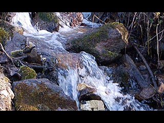 Gdzie na łonie natury warto spędzić?