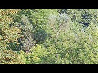 Jak wybrać dobre miejsce do wypoczynku?