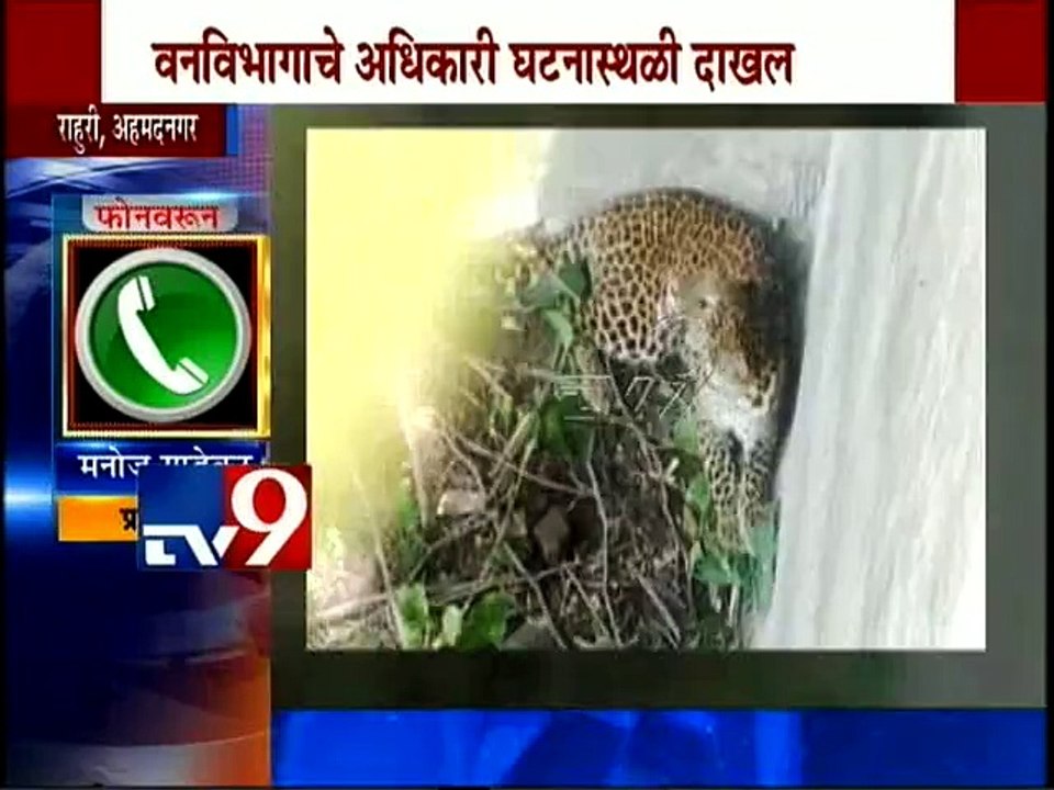 Ahemadnagar: Leopard Falls in Senators-TV9