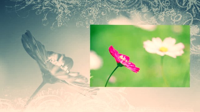 Nada Vodenicar i TO - Nekad cvale bele ruze