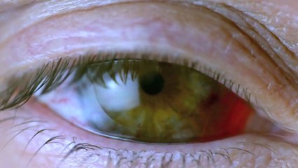 Bande-annonce de la série "Wayward Pines"