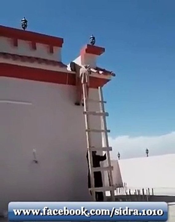 Funny vidio Must Watch
