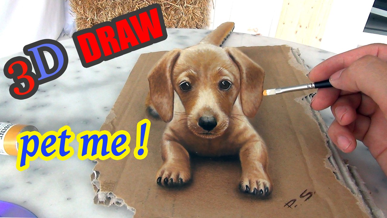 Painting of a dog in 3D /  "PET ME"  / Anamorphic illusion
