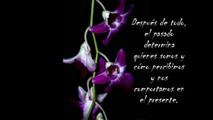 Frases de Eckhart Tolle.