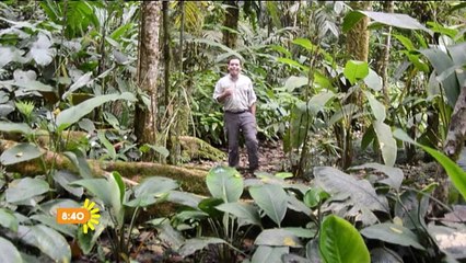 bd-parques-nacionales-240815