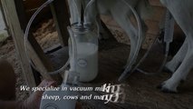 Dairy Farm Milking Machines & Equipments | 850-464-2881