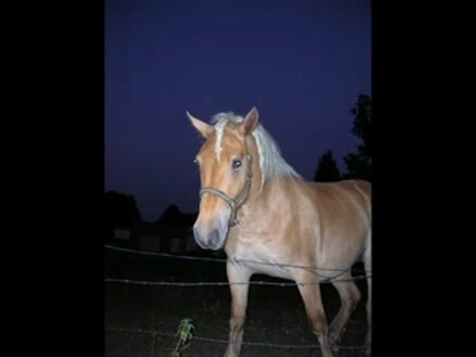 juju a coté ché mi