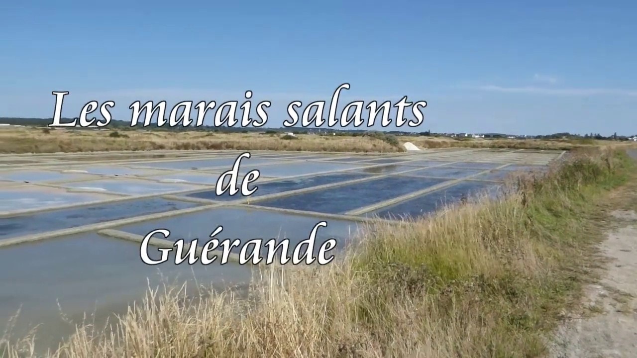Guérande - Les marais salants