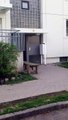 Military Housing Panzer Kaserne Germany