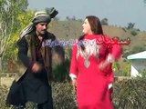 Afghan Pashto Songs Album Vol 13   Da Gudar Ghara    Pashto Songs With Attan Dan(1)(1)