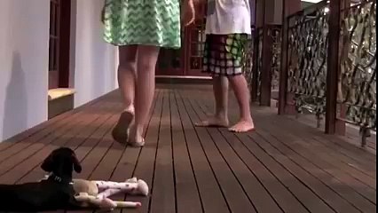 Cute Puppy protect his owner.