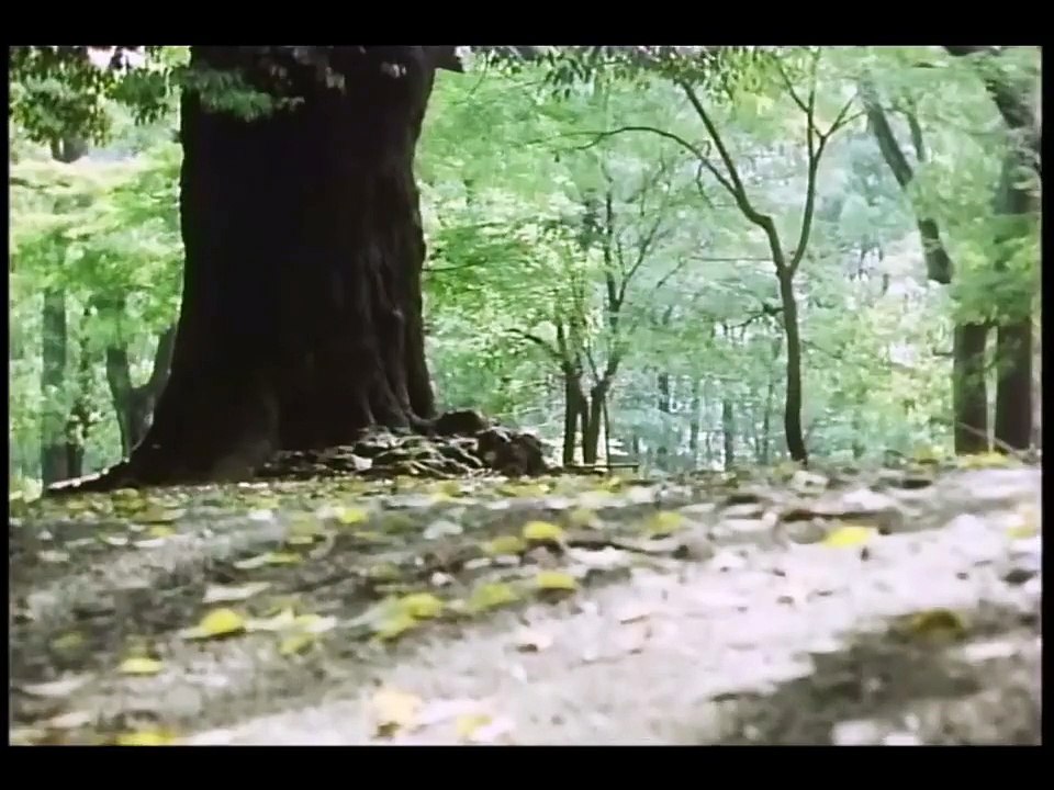 トヨタ  クラウン  5代目 後期型 ベンツマスク  CM 山村聰 1978 TOYOTA CROWN Ad HD