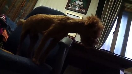 ஐ1등ஐ정보이용료현금화ω//OIO-3047-0759//Γ핸드폰소액결제 현금화|핸드폰소액대출 현금화