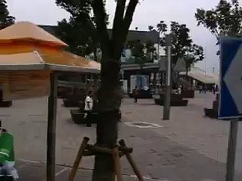 Shanghai 2010, Expo 2010 bus tour