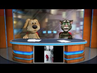 noticias con el gato tom