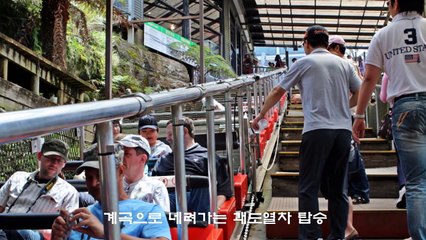 호주여행 시드니 (Sydney  Australia)