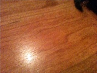 The Walking Dead Episode 9- Us And The Dead