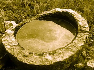 Sasha Persholja - Nonsense Talker